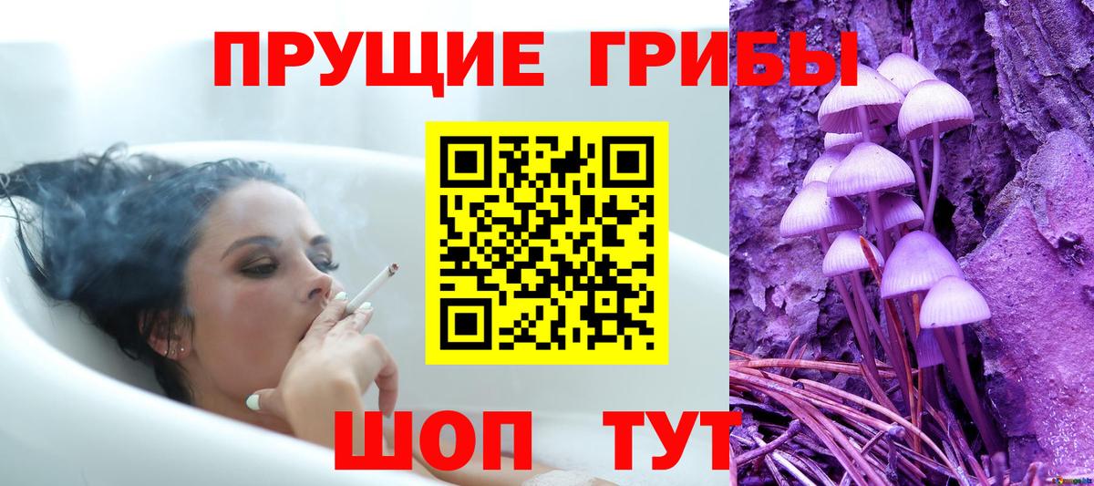 Галлюциногенные грибы мицелий  Вход с VPN  Шадринск  Псилоцибиновые грибы Psilocybe 